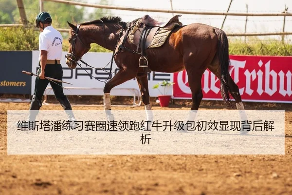 维斯塔潘练习赛圈速领跑红牛升级包初效显现背后解析